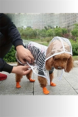 1 Adet-Pomeranian Şeffaf Köpek Yağmurluğu – PVC, Su Geçirmez, Tüm Irklar İçin Uygun