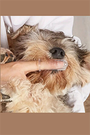 1 Adet-Silikon Evcil Hayvan Parmak Diş Fırçası – Köpek & Kedi Ağız Bakımı, Saklama Kabı Dahil