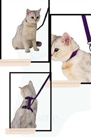 Ayarlanabilir Kedi Boyun ve Göğüs Gezdirme Tasması Renkli