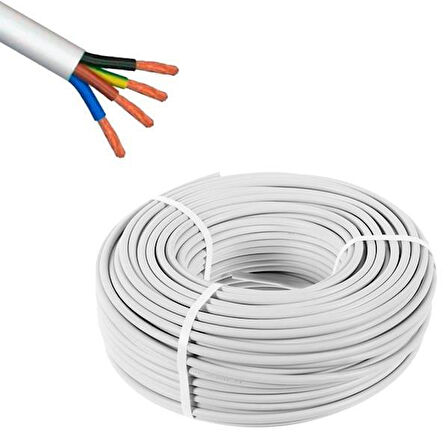 PowerMaster 4X0.75 CCA TTR Kablo (100 Metre) (Seri 2)