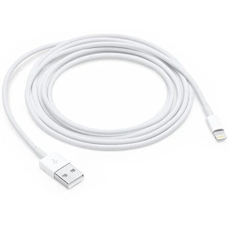 PowerMaster DK-18295 Lightning 1 Metre Iphone Şarj-Data Kablosu