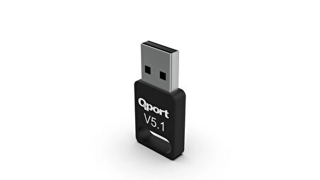 Qport Q-BLU5.1 Bluetooth 5.1 USB adaptör