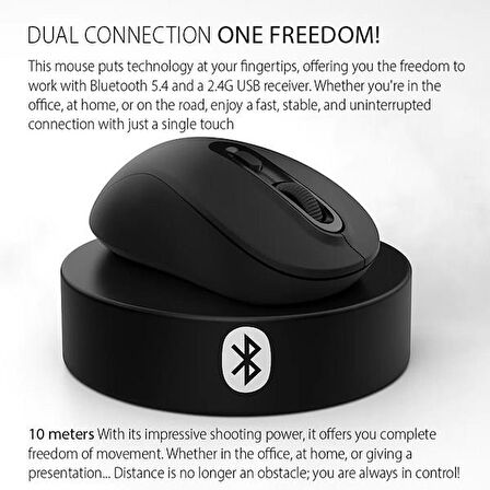 INCA IWM-288T Bluetooth & 2.4G Kablosuz siyah Ergonomic Design Silent