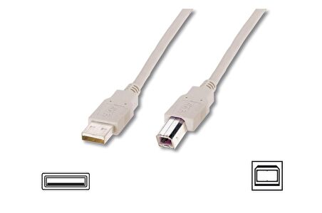 USB 2.0 Bağlantı Kablosu, USB A Erkek - USB B Erkek, 1.8 metre, AWG 28, USB 2.0 uyumlu, UL, bej renk