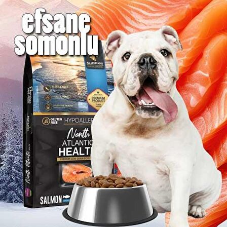 North Atlantic Health – Somonlu Köpek Maması 15 kg