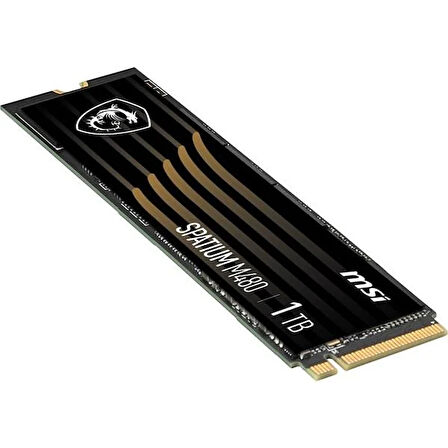 MSI 1TB SPATIUM M480 PRO 7400-6000MB/s M2 NVME GEN4 DİSK