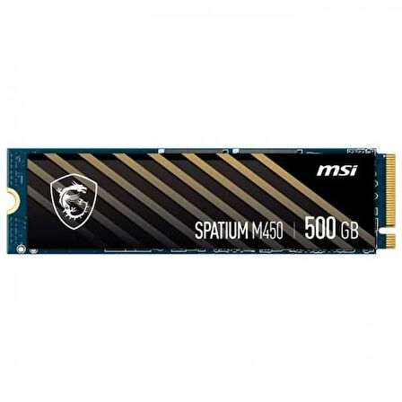 MSI 500GB M450 3600-2300MB/s M2 NVME GEN4 DİSK