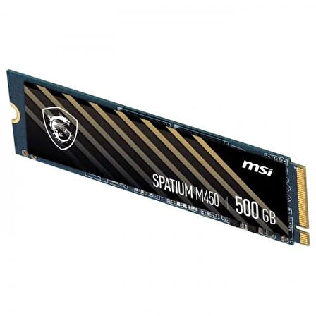 MSI 500GB M450 3600-2300MB/s M2 NVME GEN4 DİSK