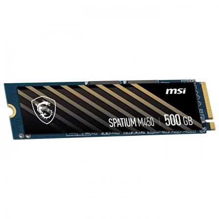 MSI 500GB M450 3600-2300MB/s M2 NVME GEN4 DİSK