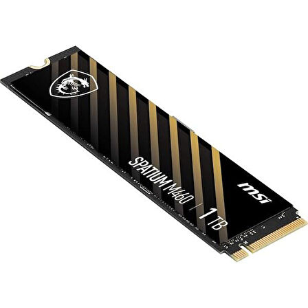 MSI 1TB SPATIUM M460 5000-4500MB/s M2 NVME GEN4 DİSK