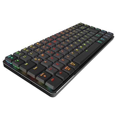 RAMPAGE W-GRANITE Siyah/Gri Low Profile BLUE SWITCH Q RGB Kablosuz+ BT Mekanik Gaming Oyuncu Klavye
