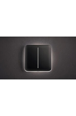 Ajax LightCore (2-gang) [55] Akıllı Dokunmatik 2'li Işık Anahtarı