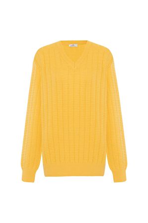 Peraluna ZACHA 'V Neck' NECK PULLOVER Üç Boyut Çizgili Mevsimlik Erkek Triko Kazak - Sarı