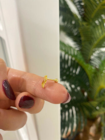 Kadın Gümüş Tragus