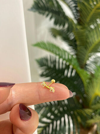 Kadın Gümüş Tragus