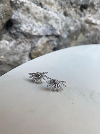 Kadın Gümüş İthal Tasarım Küpe 