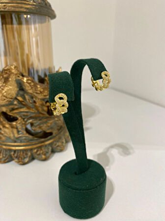 Kadın Gümüş Gold İthal Gurmet Halka Küpe