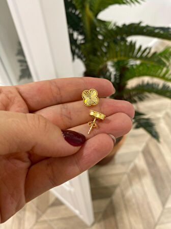 Kadın Gümüş Vidalı Yonca Küpe