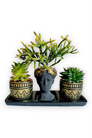 Sedum & Rhipsalis 3'lü Sukulent Seti | Helen Siyah & Gold Seri