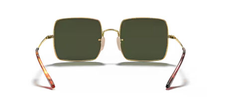 RAY-BAN RB1971 914731 54-19-140 Unisex Güneş Gözlüğü