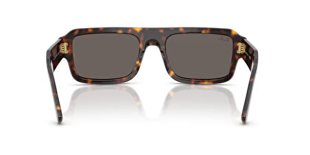 RB RB4454 1359B1 56-20-145 Unisex Güneş Gözlüğü