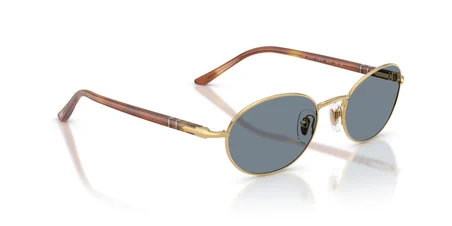 PO PO1018S 113256 52-21-145 Unisex Güneş Gözlüğü