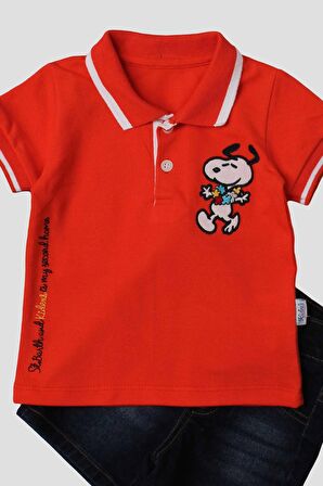 Erkek bebek pamuklu polo takım pantolon üst ikili takım düğün doğum günü nişan nikah bayram