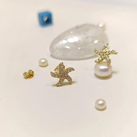 11mm Vidalı Deniz Yıldızı Küpe 14 Ayar Altın HD VİDEOLU
