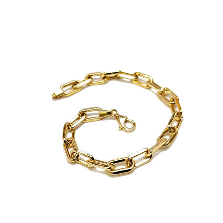 Piramit Ataç Zincir Bileklik Künye 14 Ayar Altın HD VİDEOLU