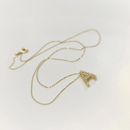 A Harfi Kolye 14 Ayar Altın HD VİDEOLU