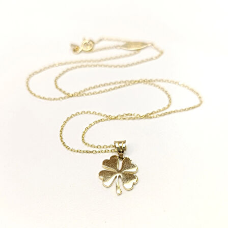 Yonca Kolye 14 Ayar Altın HD VİDEOLU