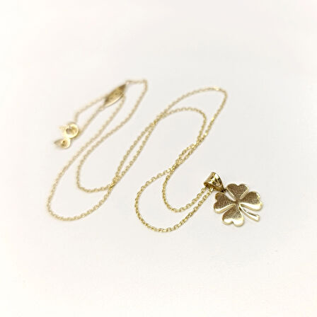 Yonca Kolye 14 Ayar Altın HD VİDEOLU