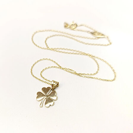 Yonca Kolye 14 Ayar Altın HD VİDEOLU