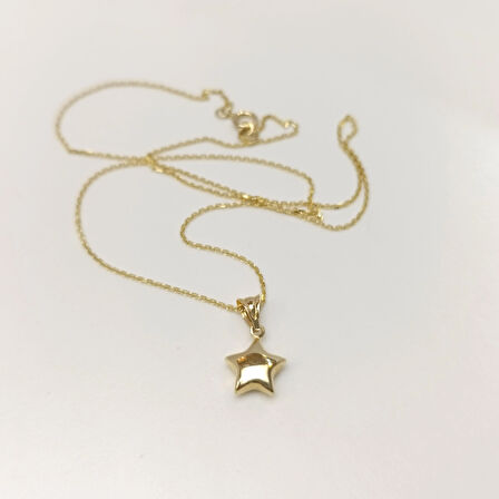 Tombik Yıldızı Kolye 14 Ayar Altın HD VİDEOLU