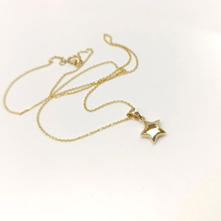 Tombik Yıldızı Kolye 14 Ayar Altın HD VİDEOLU