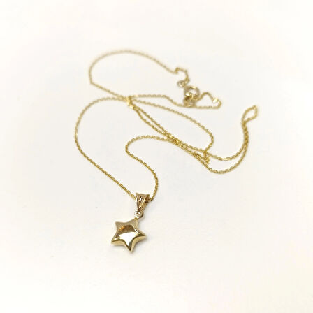 Tombik Yıldızı Kolye 14 Ayar Altın HD VİDEOLU