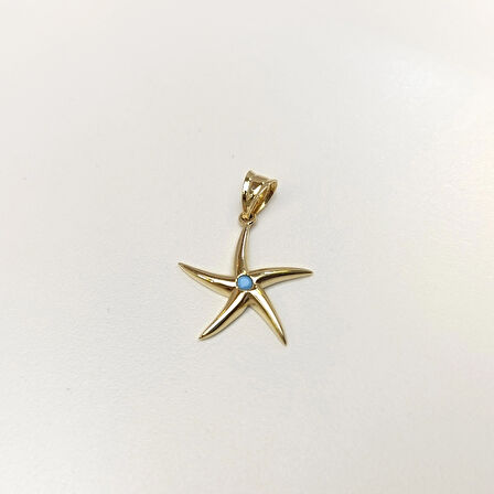 Deniz Yıldızı Kolye 14 Ayar Altın HD VİDEOLU