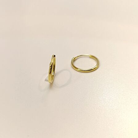 15.5mm Klasik Halka Küpe 14 Ayar Altın HD VİDEOLU