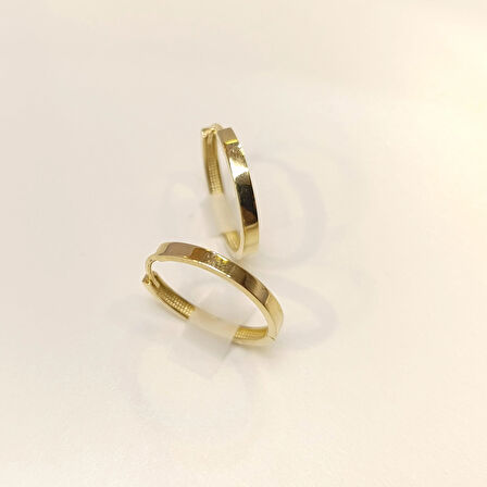 21.5mm Klasik Ray Halka Küpe 14 Ayar Altın HD VİDEOLU