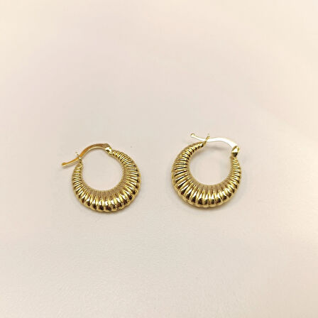 19.4mm İstiridye Halka Küpe 14 Ayar Altın HD VİDEOLU