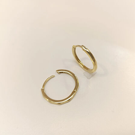 19.2mm Karo Halka Küpe 14 Ayar Altın HD VİDEOLU