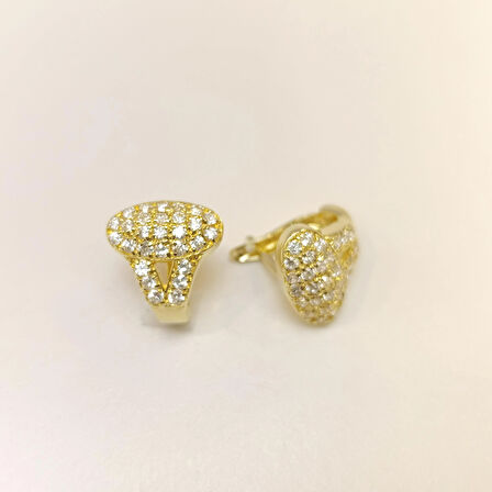 Taşlı Küpe 14 Ayar Altın HD VİDEOLU