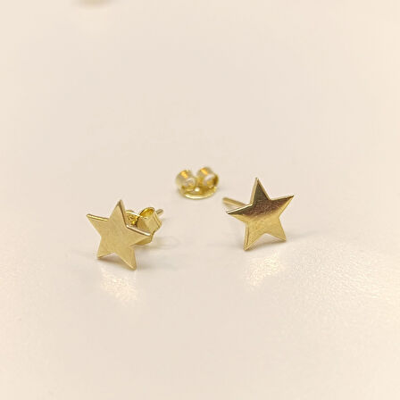 Yıldız Vidalı Küpe 14 Ayar Altın HD VİDEOLU