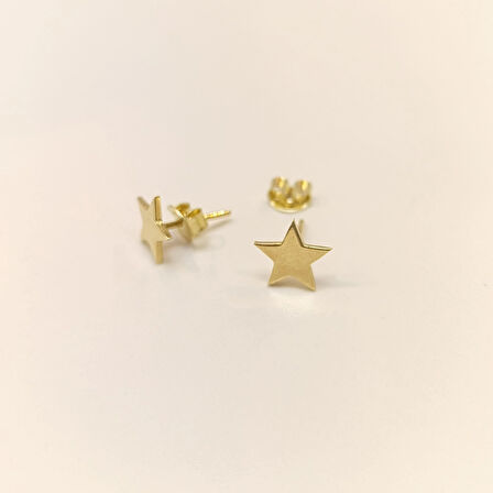 Yıldız Vidalı Küpe 14 Ayar Altın HD VİDEOLU