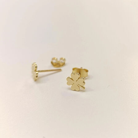 Yonca Vidalı Küpe 14 Ayar Altın HD VİDEOLU