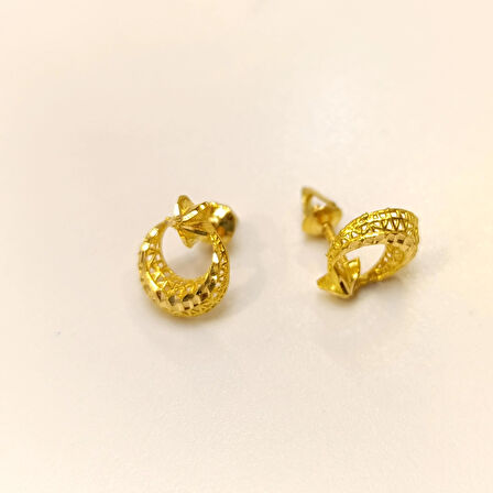 Ayyıldızlı Küpe 22 Ayar Altın HD VİDEOLU