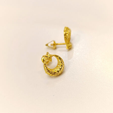 Ayyıldızlı Küpe 22 Ayar Altın HD VİDEOLU