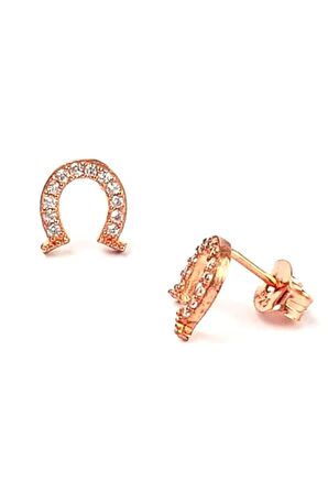 Nal Figürlü zirkon taşlı gümüş Kadın küpe