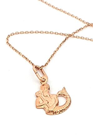 kova burcu gümüş rose kolye 