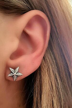 Deniz yıldızı figürlü zirkon taşlı gümüş küpe 